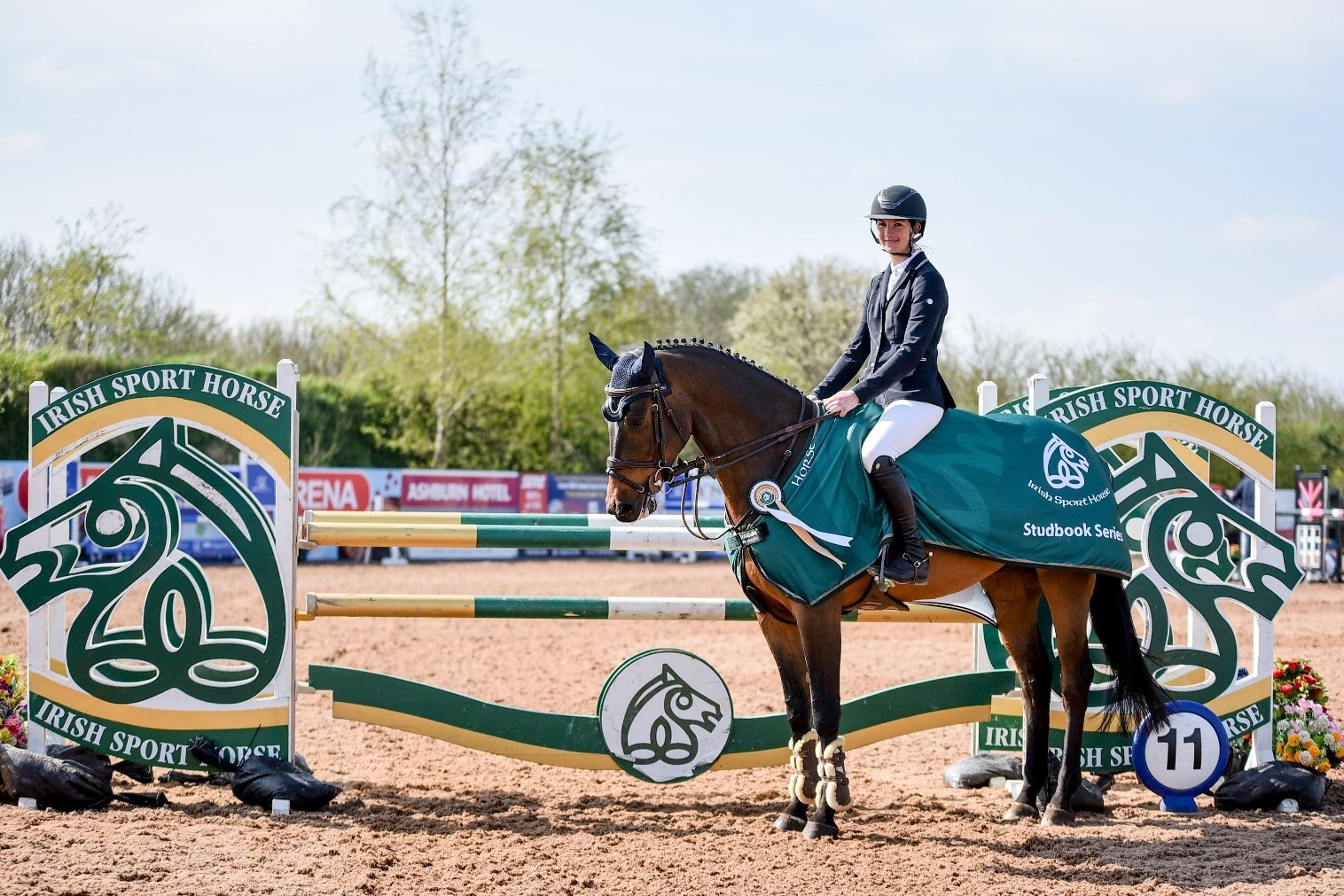 Read more about the article Wexford Horses in the Ribbons in the North