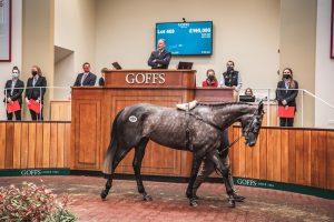 Read more about the article Murphy Tops at Doncaster