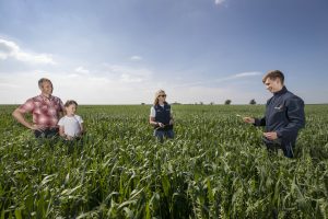 Read more about the article Glanbia  Seeks Gluten-Free Oat Growers