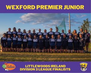 Read more about the article Wexford Juniors win National Camogie League