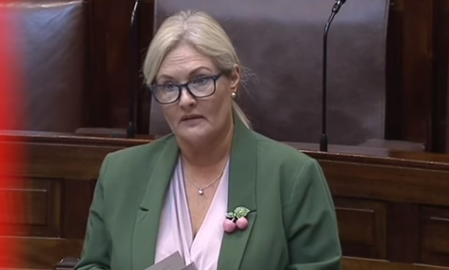 Read more about the article Verona Murphy TD Responds to Irish Times Article