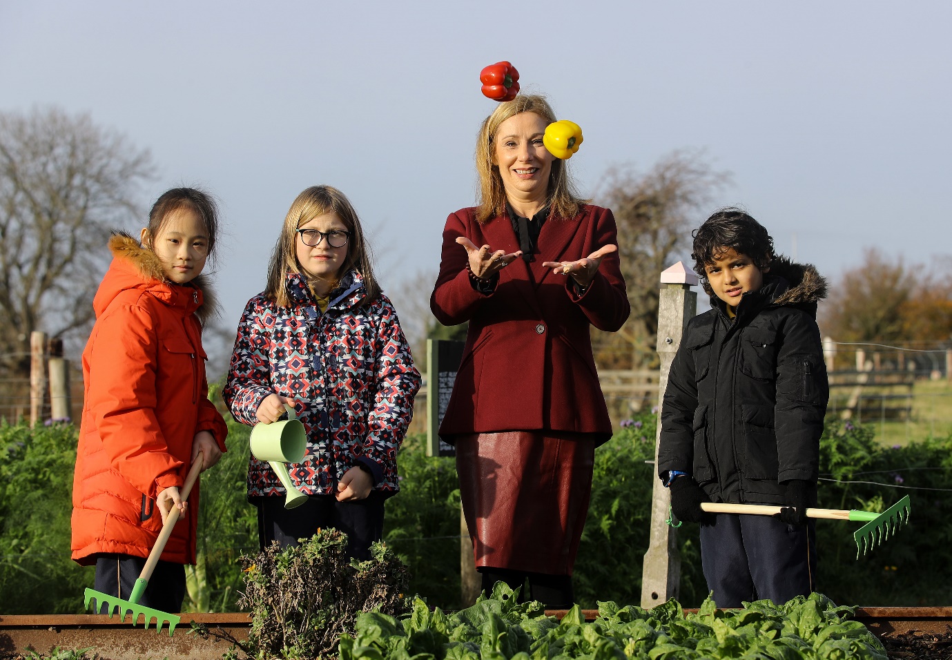 Read more about the article Minister Madigan Launches Incredible Edibles