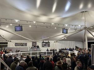 Read more about the article Fantastic Evening at Cheltenham for Matty