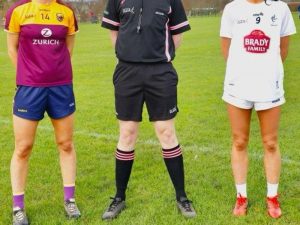 Read more about the article More Than One Mismatch for Wexford Ladies Footballers