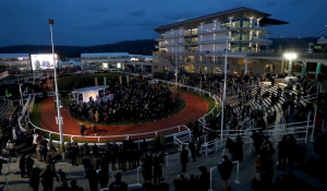 Read more about the article Cormac Picks Up £310,000 at Cheltenham